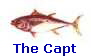 The Capt