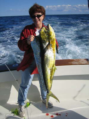 Dorado