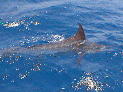 venezuela pics 008