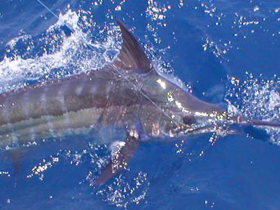 venezuela pics 009