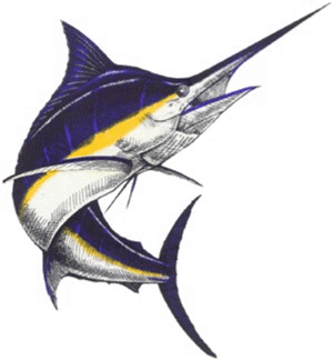marlin-trans